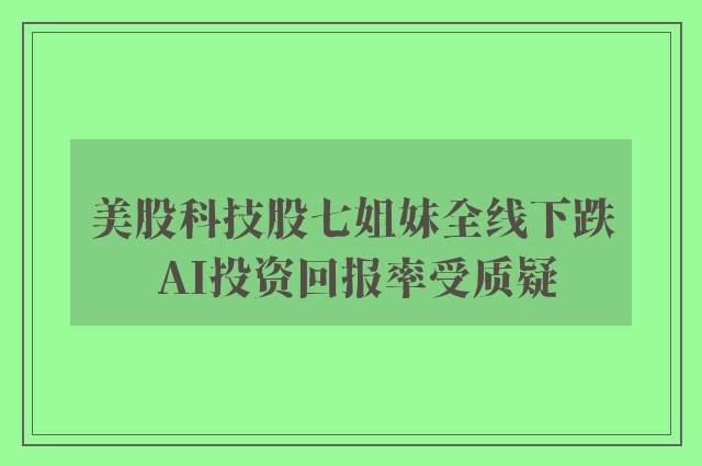 美股科技股七姐妹全线下跌 AI投资回报率受质疑