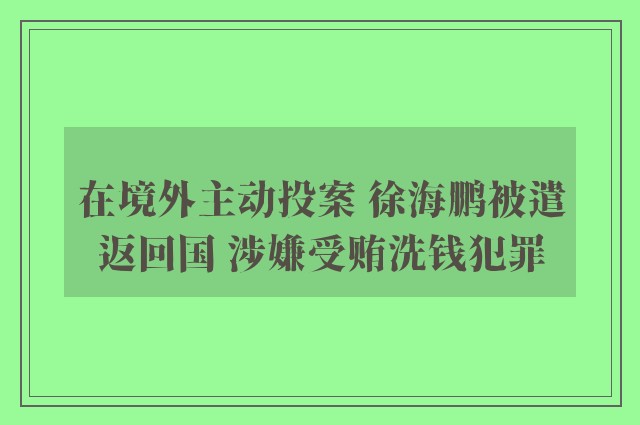 在境外主动投案 徐海鹏被遣返回国 涉嫌受贿洗钱犯罪