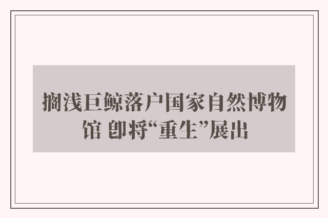 搁浅巨鲸落户国家自然博物馆 即将“重生”展出