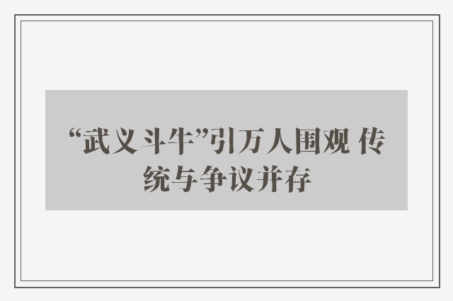 “武义斗牛”引万人围观 传统与争议并存