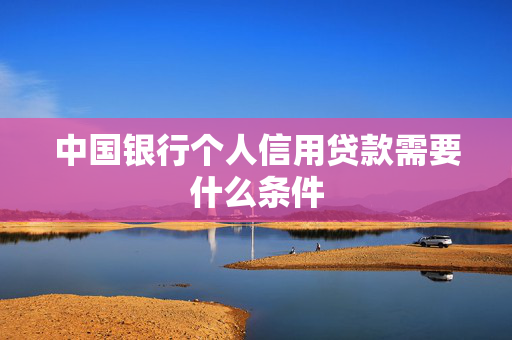 中国银行个人信用贷款需要什么条件