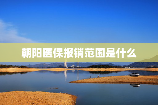 朝阳医保报销范围是什么